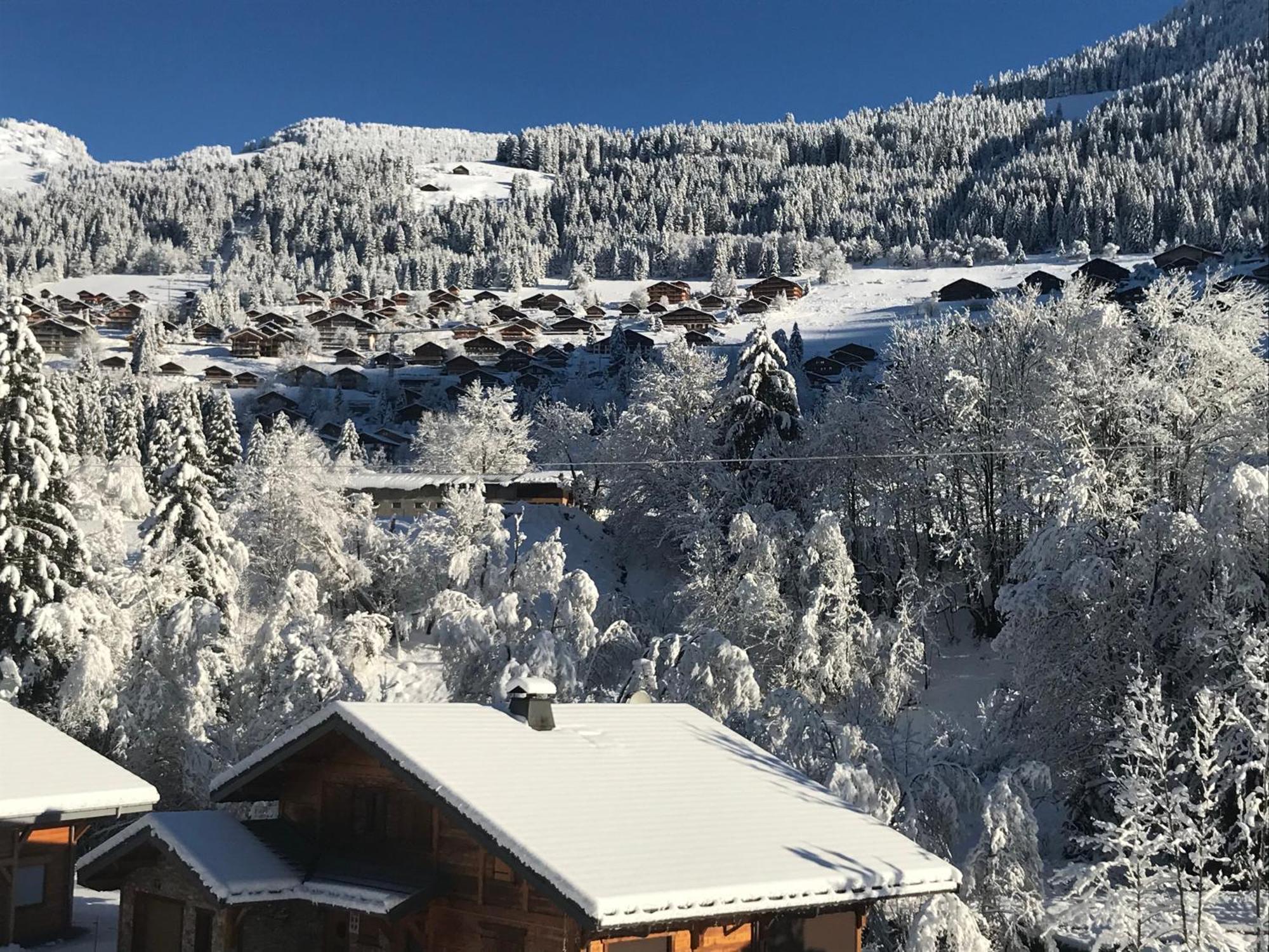 Au Bois De Lune Châtel Eksteriør billede